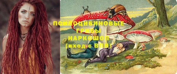 spice Алексеевка