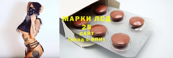 PSILOCYBIN Зеленодольск
