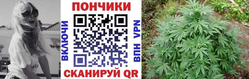 mega как зайти  Железногорск-Илимский  Канабис Bruce Banner  продажа наркотиков 